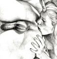 almos1221 